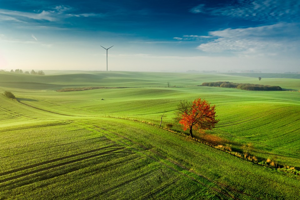 Segregacja Odpadów jako Kluczowy Element Walki ze Zmianami Klimatycznymi: Jak Małe Działania Mogą Chronić Naszą Planetę